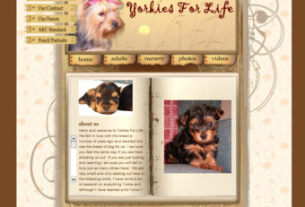 Custom Flash website design for Yorkie dog breeder.