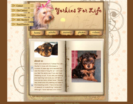 Custom Flash website design for Yorkie dog breeder.