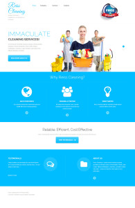 WordPress website design for cleaning company!