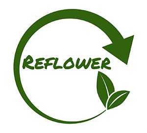 Reflower Logo